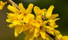 幽默笑话：小明！你作文中有一个地方写错了！