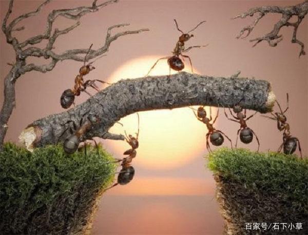 论人的本性读后感 3