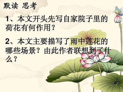 感谢那片荷叶 关于母爱的作文700字