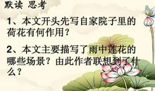 感谢那片荷叶 关于母爱的作文700字