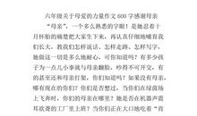 一件外套-感恩母爱作文600字