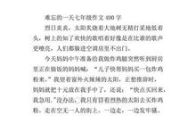 难忘的一天-小学生写事作文300字