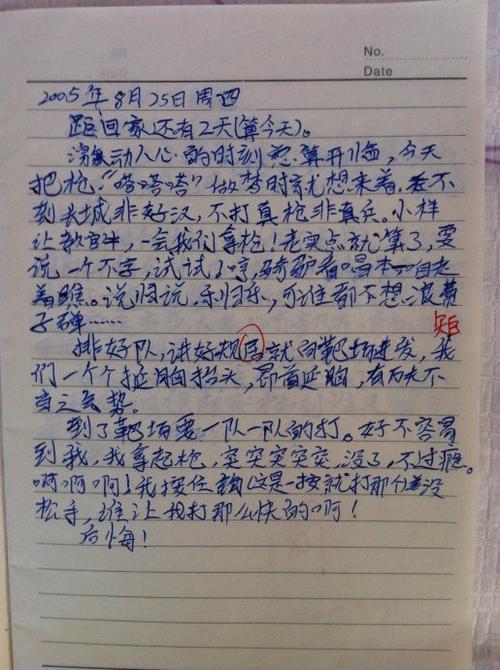 军训纪实-军训日记700字