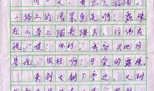 秋 我爱秋天作文400字