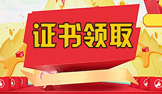我的家人英语作文