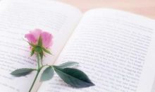 学会修改作文，离会写作文又进了一步