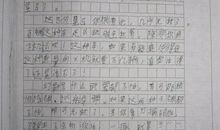 发疯-难忘的经历作文900字