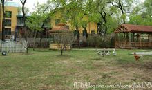 游玩太阳岛-快乐的劳动节作文400字