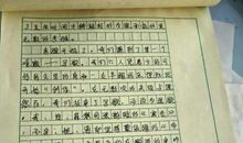 我并不后悔 小学想象作文300字