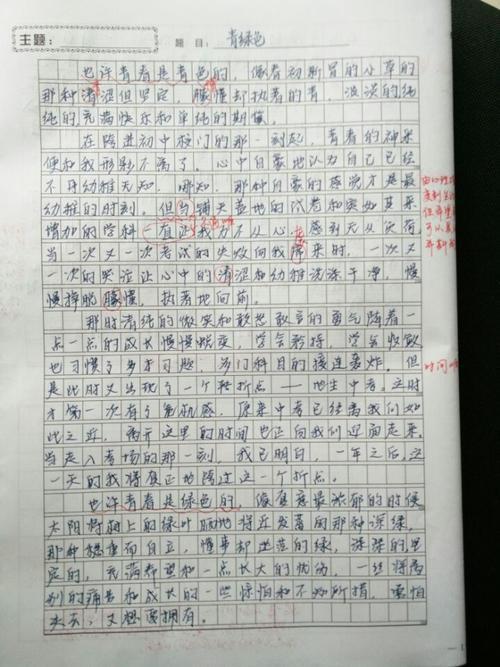 扬起自信的风帆作文600字