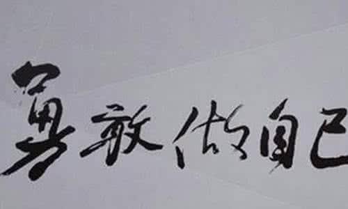 我学会了面对_800字