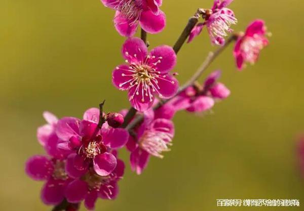 中高考在即,这样写读后感让学子们稳操胜券