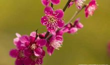 中高考在即，这样写读后感让学子们稳操胜券