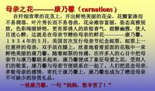 母爱伴我行 感恩母爱作文1000字