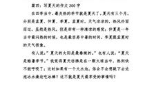 那个离别的夏天 难忘的记忆作文1000字