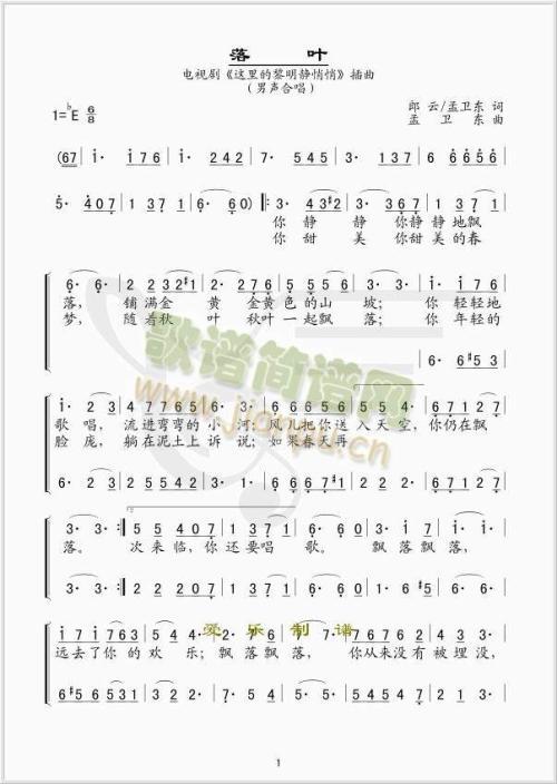 落叶是疲惫的蝴蝶 描写落叶的优秀作文1000字作文