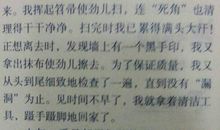 生命的脆弱 记一次班队课作文400字