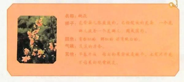 三年级孩子的起步作文，先从观察周围的事物开始 2