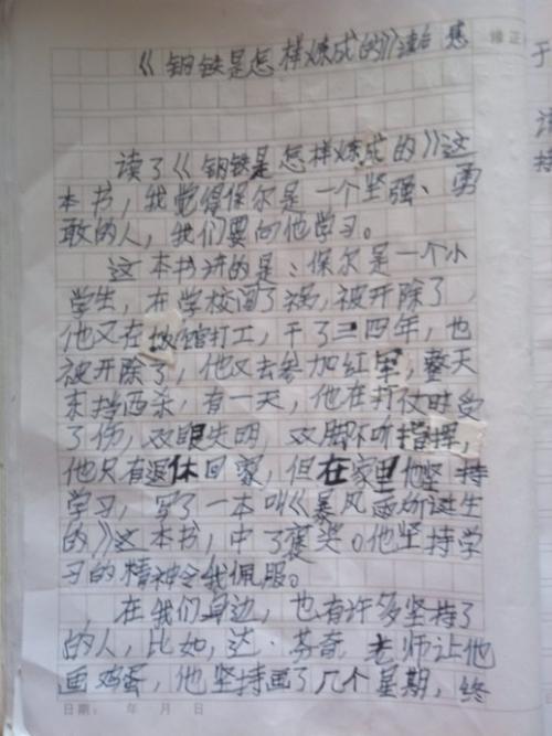 读《钢铁是怎样炼成的》有感 初中读后感800字
