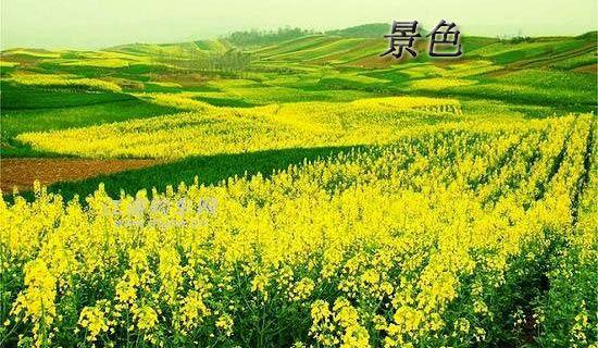华丽背后的绚丽多彩作文650字