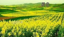 华丽背后的绚丽多彩作文650字