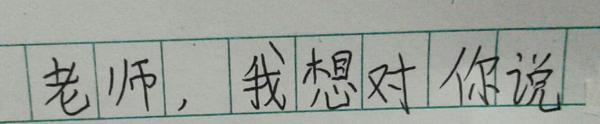 五年级书信：轻轻的一声叮咛_450字