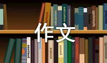 风雨作文400字