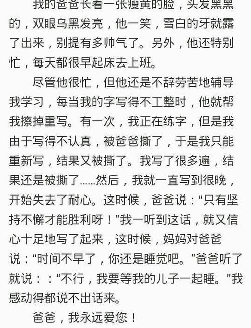 我的父亲 慈祥的父亲作文700字