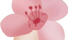 “双节对话”读后感篇：隔空对话传温暖，学子热议收获多