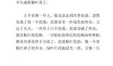 关于牡丹的作文3篇