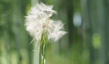 选自己感受最深的写 ,小学生才能写好读后感