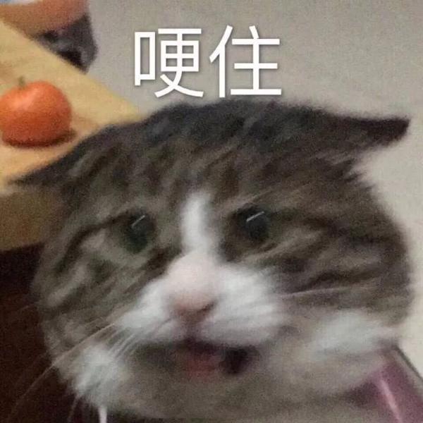 考研英语作文只会套模板？能过线就奇怪了 2