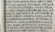 捉蜂趣事-有趣的一件事作文400字