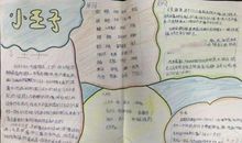 小王子第十三章读后感