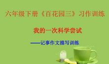 关于我的一次科学尝试的作文500字