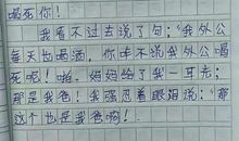 倒霉的回家之路作文