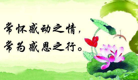 为感动为话题的作文500字
