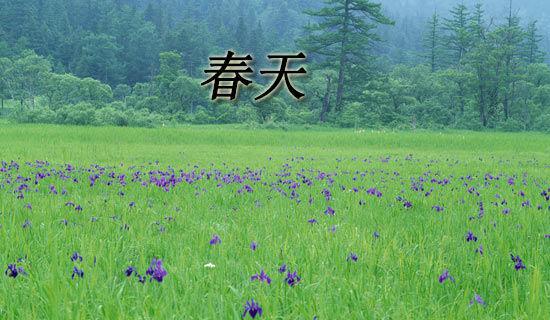 春天的小学四年级作文300字