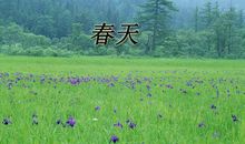 春天的小学四年级作文300字