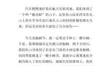 植树 小学生植树作文300字