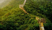 小学生优秀作文赏析——《我喜欢雨后》