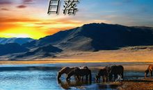 体验青山之美作文650字