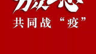 抗击疫情 武汉加油，中国加油作文600字