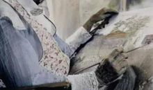 摩西奶奶 写名人的作文800字