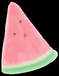 一套完整的序列化作文训练方案——新语文·新作文丛书 23