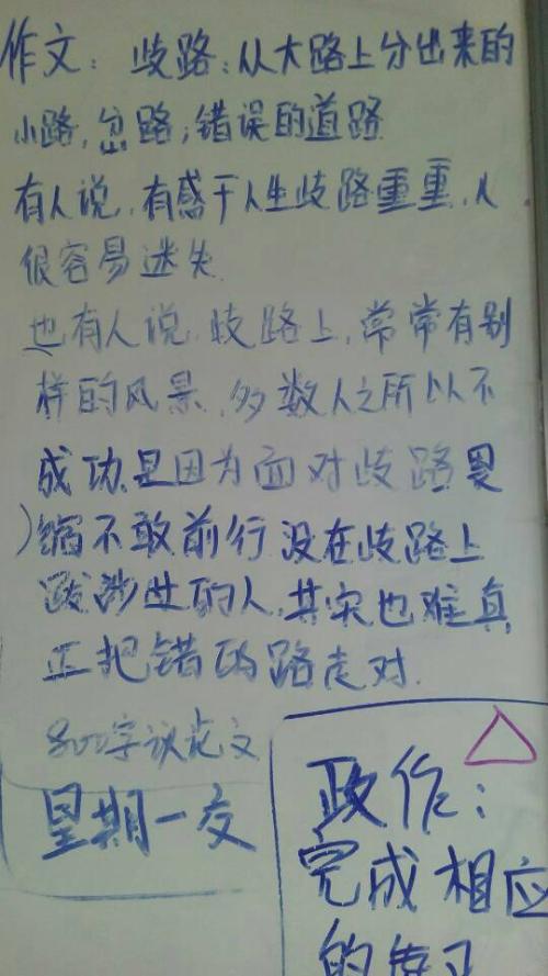 人生不如意 初三议论文作文800字