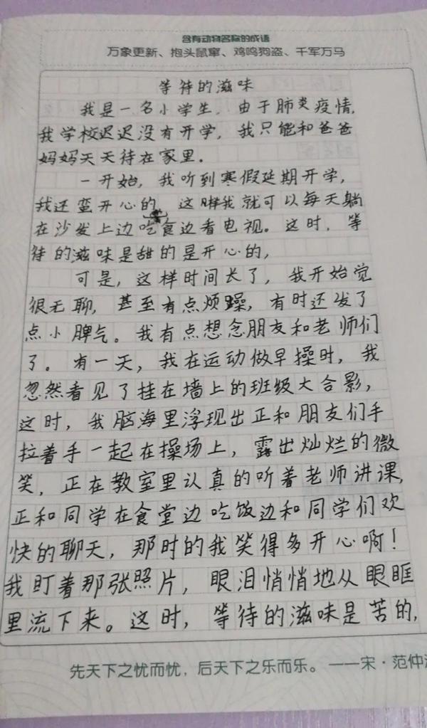作文赏析丨等待的滋味 15