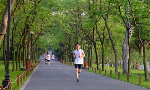 学校晨跑初中作文