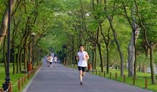 学校晨跑初中作文