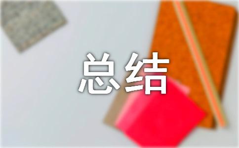 个人工作总结